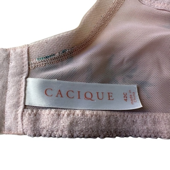 Cacique Boost Push-Up Plunge Palm Leaf Bra, 42C - Picture 8 of 9